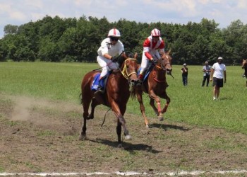 https://worldethnosport.org/tr/yuklemeler/spor-gorselleri/marulaaaa.jpeg