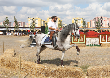 https://worldethnosport.org/yuklemeler/spor-gorselleri/9ec275353b1b9593d61aa9588f4b4dd5_big_r.png