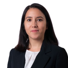https://worldethnosport.org/yuklemeler/yonetim-gorselleri/60904zeynep-safiye-baki-nalciog-lu.jpg